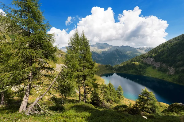 Lago di Campo - Adamello Trento Italy — Stock Photo, Image