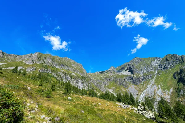 Parku Narodowego Adamello Brenta - Włochy — Zdjęcie stockowe