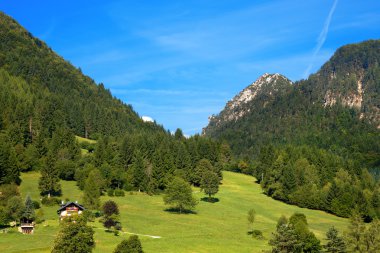 Mountain Forests - Valbruna Tarvisio Italy clipart
