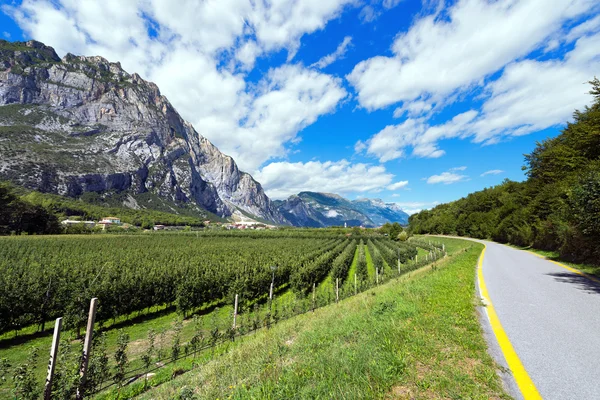 Piste cyclable dans la vallée de Sarca - Trentin Italie — Photo