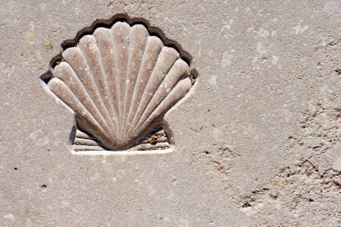 Tarak Seashell - hac sembolü