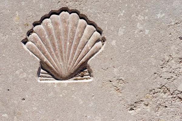 Scallop Seashell - Símbolo de Peregrinação — Fotografia de Stock