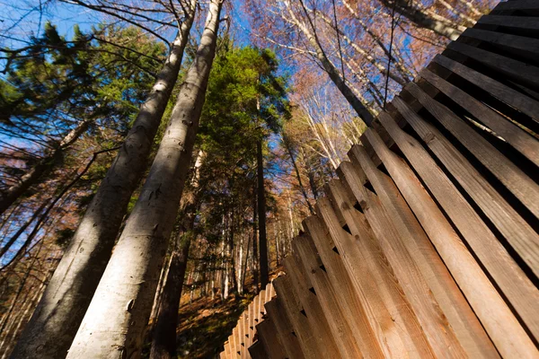 Arquitetura de madeira abstrata na floresta — Fotografia de Stock