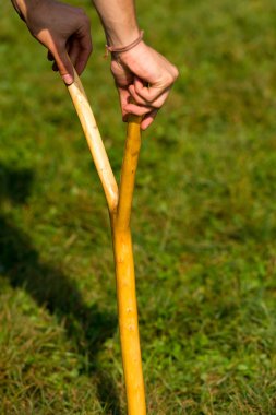 Çatallı şube - sembol Scout