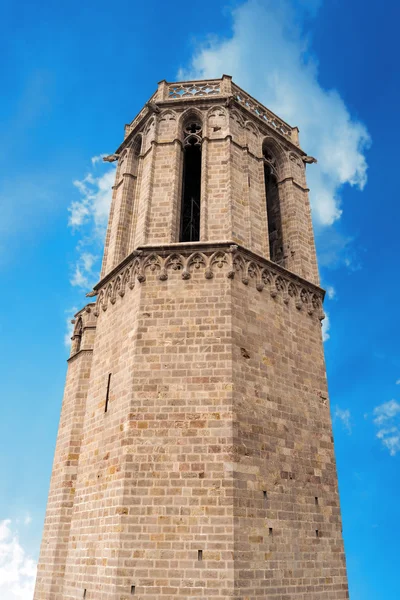 Cathédrale de Barcelone Espagne — Photo