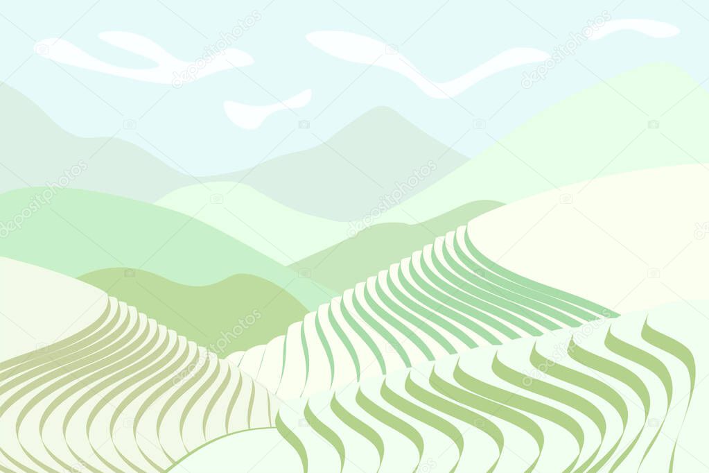 Rice field poster. Chinese agricultural terraces in mountain landscape. Foggy rural farmland scenery with green paddy. Terraced farmer cultivation plantation. Asian agriculture horizontal background