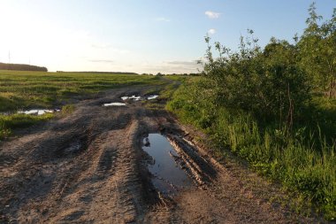 Yağmurdan sonra bozkır boyunca uzanan Rut toprak yolu, günbatımının arka planında. Rusya