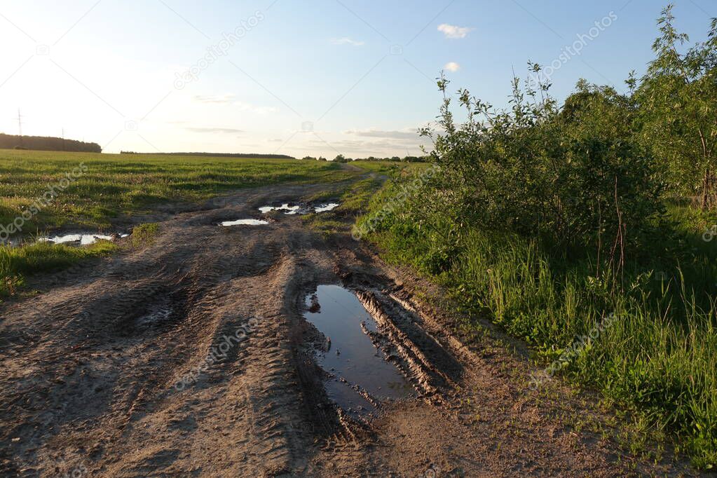 Rut dirt road across steppe after rain against sunset sky background. Russia