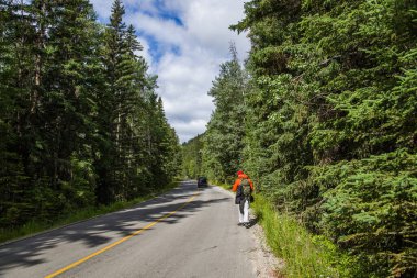 Sırt çantalı adam ormanda yolda yürüyor. Rocky Dağı Ulusal Parkı 'nda doğa yürüyüşü.. 
