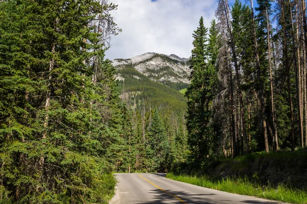 Dağdaki otoyol. Yaz zamanı. Banff, Alberta, Kanada