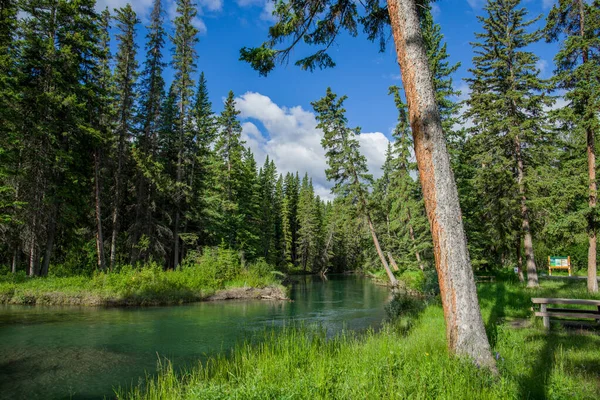 Rio Água Azul Montanha Floresta Banff Alberta Canadá — Fotografia de Stock