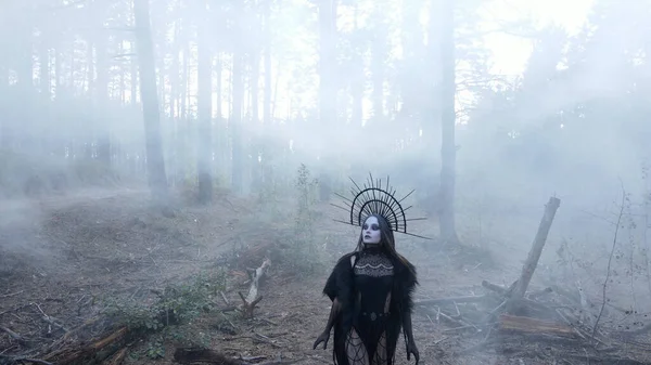 Cadı Suretinde Genç Bir Kadın Karanlık Sisli Ormanda Siyah Elbiseli — Stok fotoğraf