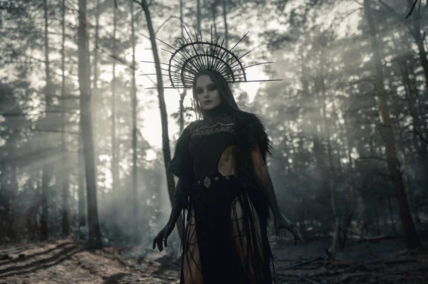 Young woman in image of witch stands in black dress and crown on her head in penetrated by the sun rays foggy forest.