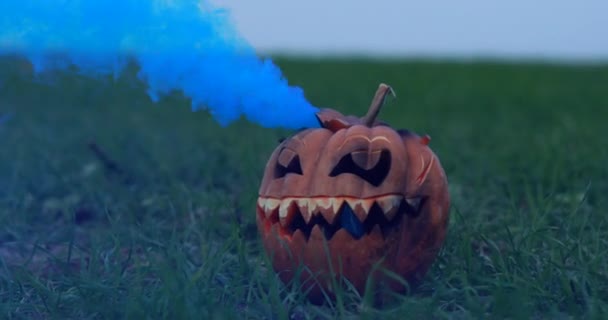 芝の間の地面には青い煙のついたカボチャの提灯が置かれています ハロウィンのコンセプト — ストック動画