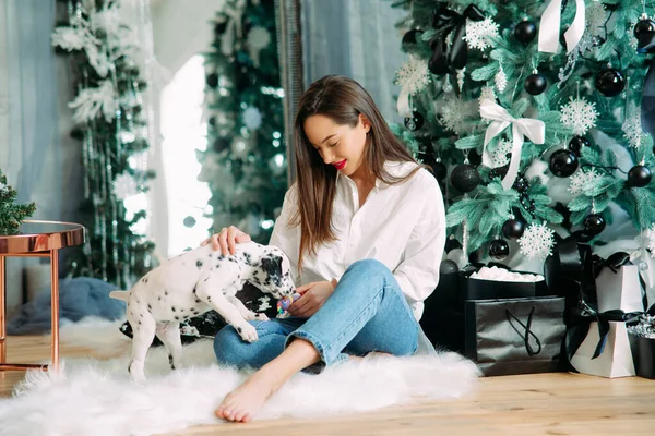 Genç Bir Kadın Noel Ağacının Yanında Oturmuş Dalmaçyalı Köpek Yavrusuyla — Stok fotoğraf