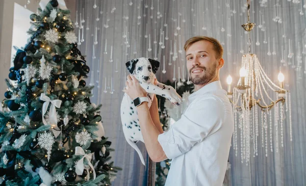 若い男は装飾とクリスマスツリーの近くに立っているとダルマチア犬の子犬と遊ぶ — ストック写真