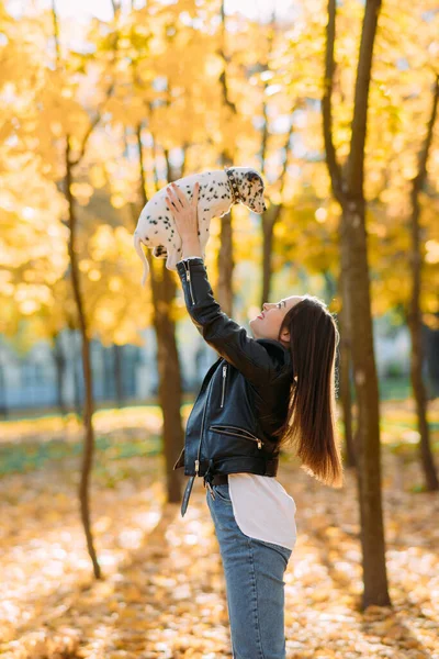 Genç Kadın Sonbahar Parkında Yürürken Dalmaçyalı Köpek Yavrusuyla Oynuyor — Stok fotoğraf