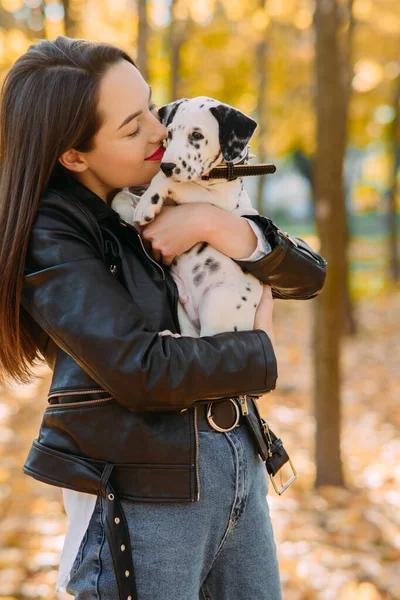 若いです女性開催しますとキス子犬のダルマチア犬で彼女の手の中に歩くと秋の公園 — ストック写真