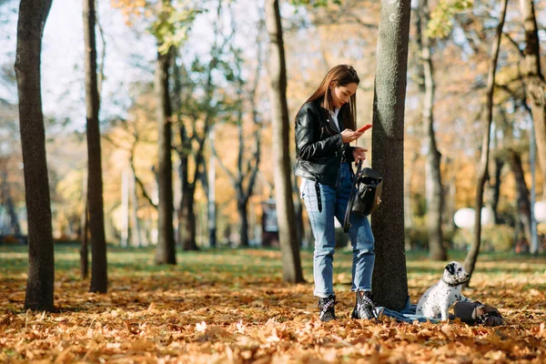 Mujer Joven Mira Teléfono Inteligente Junto Cachorro Perro Dálmata Mientras — Foto de Stock