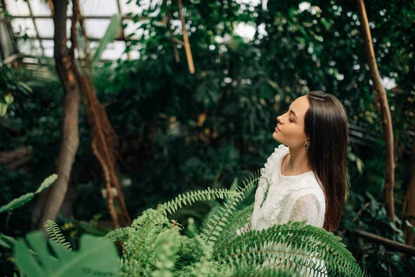 Молодая Женщина Расслабляется Наслаждается Внутри Оранжереи Среди Зеленых Тропических Растений — стоковое фото