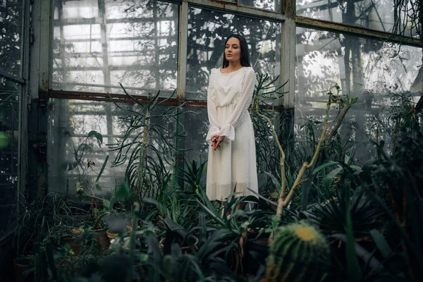 Jeune Femme Tient Intérieur Orangerie Parmi Les Plantes Potagères — Photo