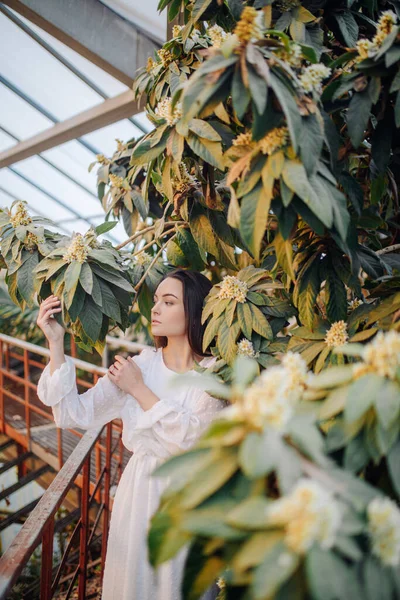 Jeune Femme Détend Jouit Près Floraison Arbre Tropical Orangerie — Photo