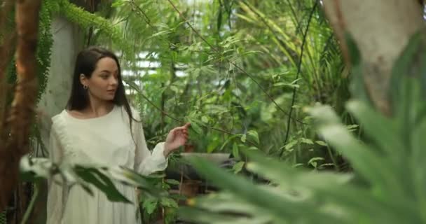 Mujer Joven Camina Vestido Blanco Dentro Naranjería Entre Las Plantas — Vídeo de stock