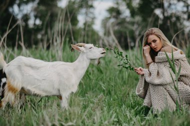 Genç sarışın kadın oturur ve çayırda keçiyi besler..