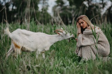 Genç sarışın kadın oturur ve çayırda keçiyi besler..