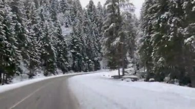 Karla kaplı Karpatlar 'ın ormanlık yamaçlarıyla yol ve manzarası çok güzel. Kameranın ileri hareketi.