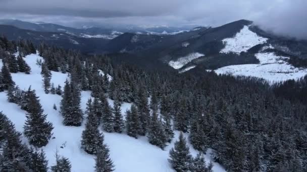 Krásný Výhled Bezpilotního Letounu Krajinu Zasněžených Karpat Lesnatými Svahy Oblohou — Stock video