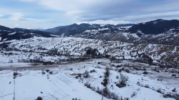 Karla Kaplı Karpatlar Köyü Ormanı Gökyüzü Olan Insansız Hava Aracından — Stok video