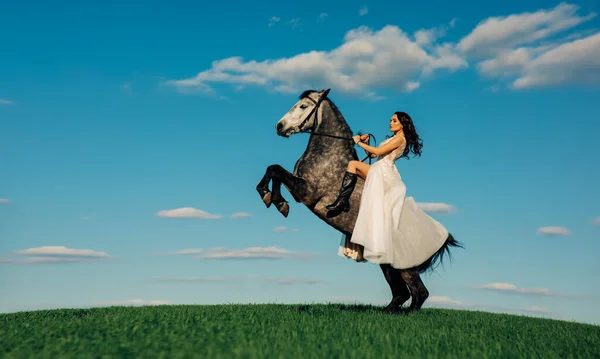 Noiva Vestido Branco Longo Senta Cavalo Cavalo Criação Contra Fundo — Fotografia de Stock
