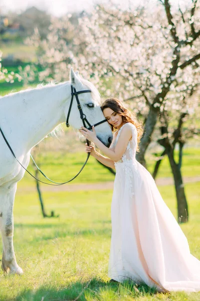 Novia Vestido Blanco Largo Para Cerca Del Caballo Blanco Abraza — Foto de Stock