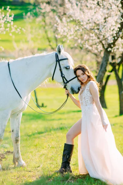 Uzun beyaz elbiseli gelin beyaz atın yanında duruyor ve onu bahar bahçesinde çiçek açan kayısı ağaçlarının arka planında kucaklıyor..