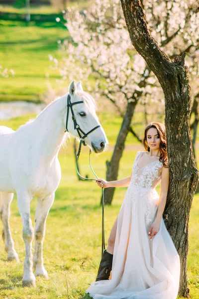 Bride Long White Dress Stands White Horse Holds Reins Spring — Stock Photo, Image