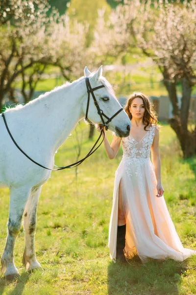 Bride Long White Dress Stands White Horse Holds Spring Garden — Stock Photo, Image