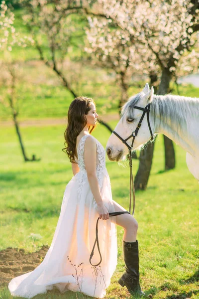 Uzun beyaz elbiseli gelin, bahar bahçesinde beyaz atın yanında duruyor. Kayısı ağaçlarının çiçek açmasına karşı..