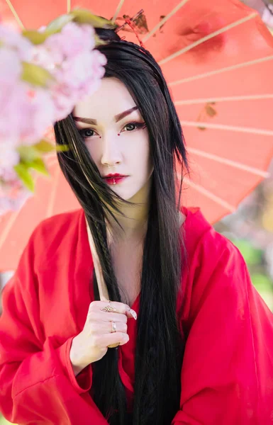 Портрет Молодої Жінки Зображенні Гейші Біля Квітучої Сакури Одязі Японського — стокове фото