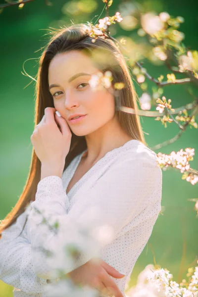 Ritratto Giovane Donna Bruna Tra Ciliegi Fiore Primaverili — Foto Stock