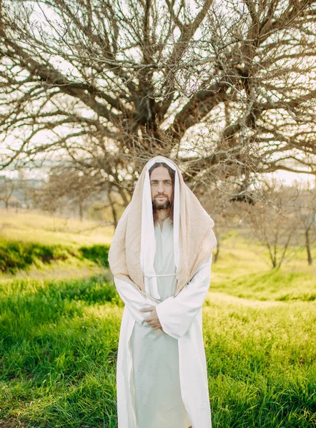 Jezus Chrystus Stojący Łące Ubrany Tradycyjną Białą Szatę Tle Drzewa — Zdjęcie stockowe