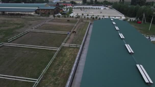 Drone Shooting Equestrian Club Horses Stables Stall Paddocks Horses Riders — Stock Video