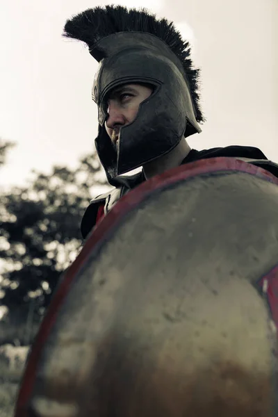 Porträtt Forntida Spartansk Krigare Hjälm Med Sköld — Stockfoto