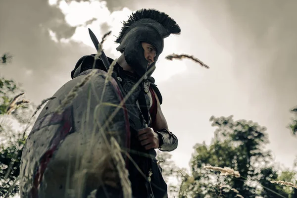 Antiguo Guerrero Espartano Traje Batalla Encuentra Entre Prado Con Escudo — Foto de Stock