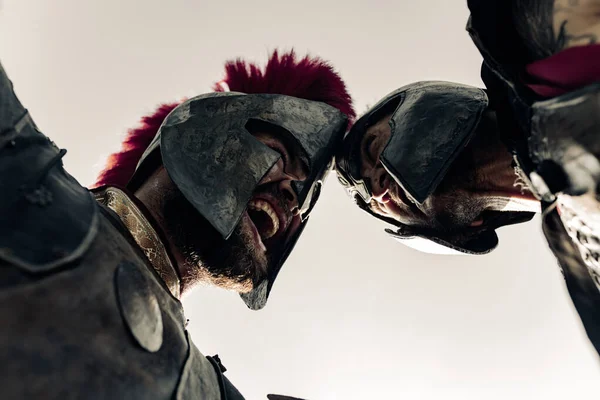Дуель Між Двома Криками Люті Стародавні Грецькі Воїни Бойовому Одязі — стокове фото