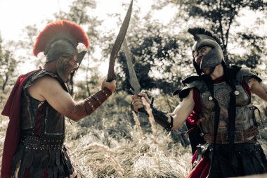 İki antik Yunan ya da Romalı savaşçı arasında savaş elbisesi ve çayırda pelerinli.