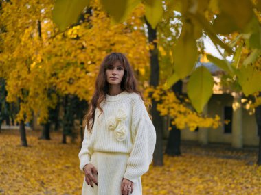Beyaz örgü süveter ve etek giymiş güzel bir kadının portresi. Parkta duruyor, kameraya bakıyor, canlı sarı sonbahar yapraklarıyla çevrili..