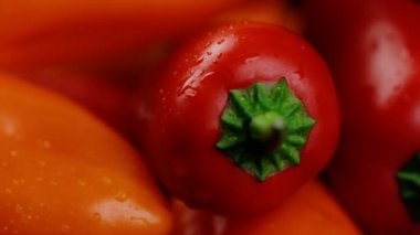 Yakın plan makro plan dönüyor. Sarı turuncu ve kırmızı biberler tatlı parlak renkler siyah arkaplanda