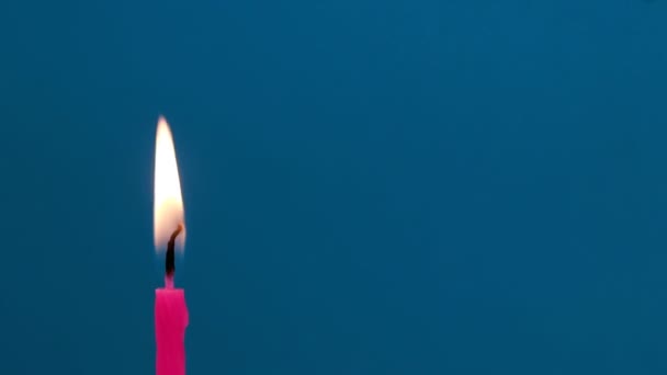 생일초는 아주 가까이, 아주 매크로. 어두운 푸른 배경. — 비디오