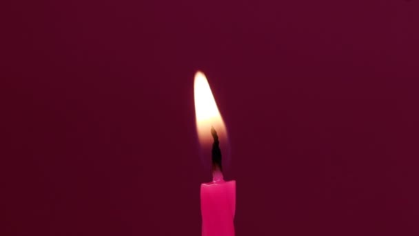 Velas de aniversário extremo de perto, macro extrema. Fundo roxo escuro. — Vídeo de Stock